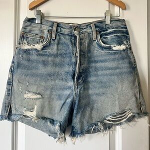 Agolde Parker Long Shorts Size 28